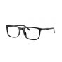 DOLCE & GABBANA 3427 501 55